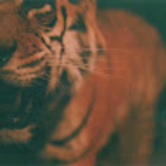 Meet your Posher, Ferro - Picture 1 of 1